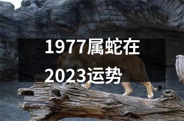 1977属蛇在2025运势