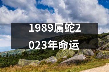 <h3>1989属蛇2025年命运