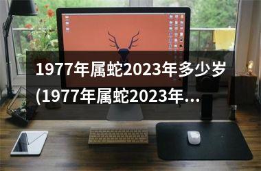 1977年属蛇2025年多少岁(1977年属蛇2025年运势及运程每月运程)