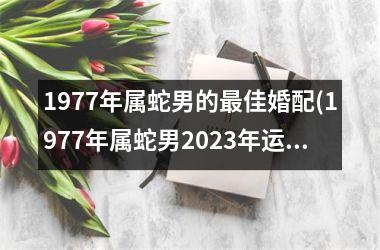 <h3>1977年属蛇男的最佳婚配(1977年属蛇男2025年运势及运程每月运程)