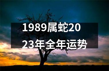 1989属蛇2025年全年运势