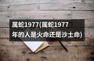 属蛇1977(属蛇1977年的人是火命还是沙土命)