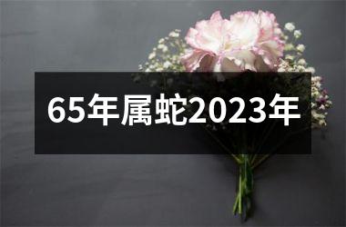 65年属蛇2025年