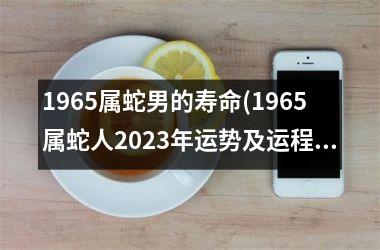 1965属蛇男的寿命(1965属蛇人2025年运势及运程)