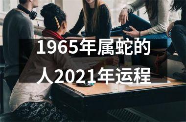 <h3>1965年属蛇的人2025年运程