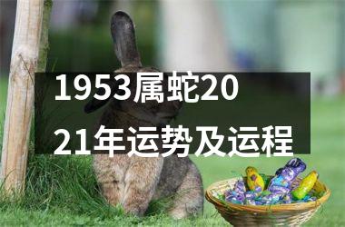 <h3>1953属蛇2025年运势及运程