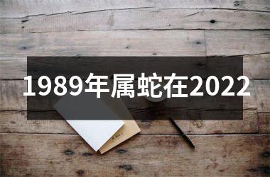 <h3>1989年属蛇在2025