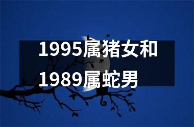 1995属猪女和1989属蛇男