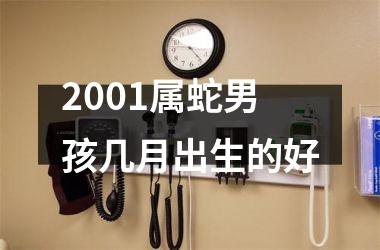 <h3>2001属蛇男孩几月出生的好