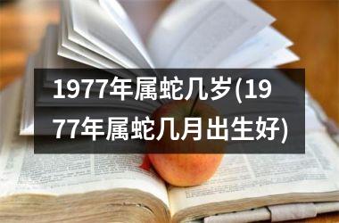 1977年属蛇几岁(1977年属蛇几月出生好)