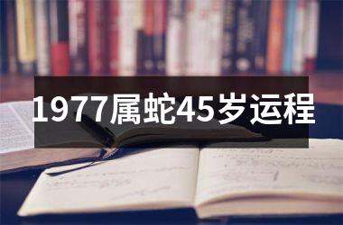 1977属蛇45岁运程