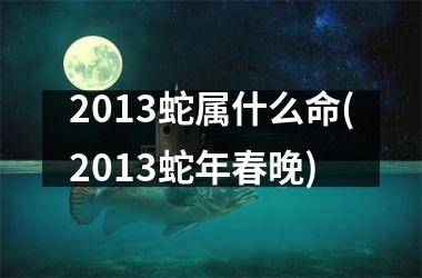 2013蛇属什么命(2013蛇年春晚)