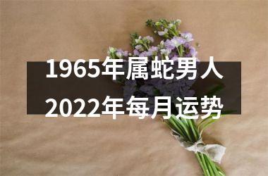 1965年属蛇男人2025年每月运势