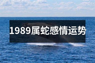 1989属蛇感情运势