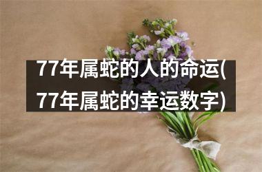 <h3>77年属蛇的人的命运(77年属蛇的幸运数字)