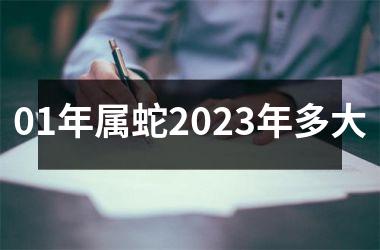 01年属蛇2025年多大