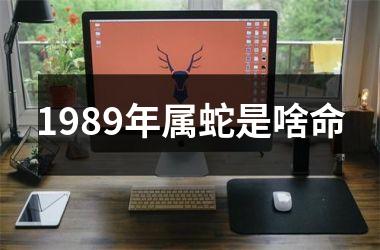 1989年属蛇是啥命