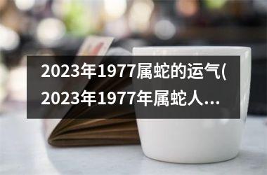 2025年1977属蛇的运气(2025年1977年属蛇人的全年运势男)