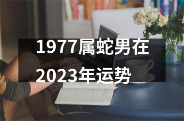 1977属蛇男在2025年运势