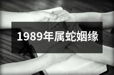 <h3>1989年属蛇姻缘