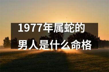 1977年属蛇的男人是什么命格