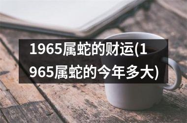 1965属蛇的财运(1965属蛇的今年多大)