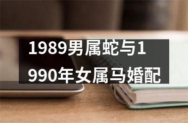 1989男属蛇与1990年女属马婚配