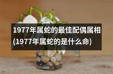 1977年属蛇的最佳配偶属相(1977年属蛇的是什么命)