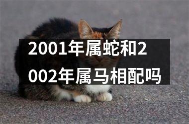 <h3>2001年属蛇和2002年属马相配吗