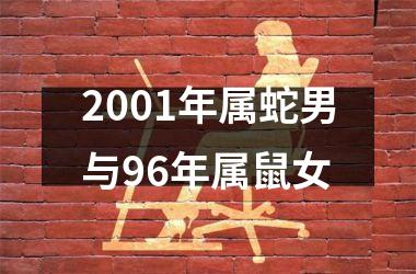 2001年属蛇男与96年属鼠女