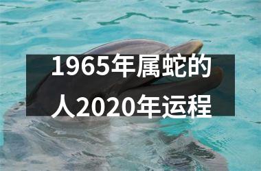 1965年属蛇的人2025年运程