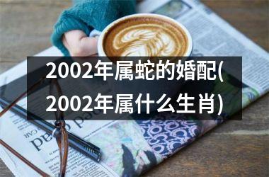 <h3>2002年属蛇的婚配(2002年属什么生肖)