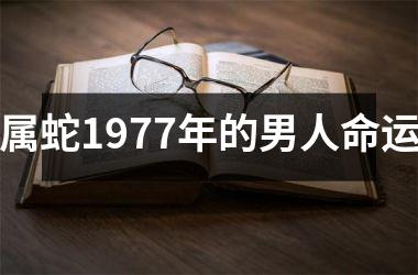 <h3>属蛇1977年的男人命运