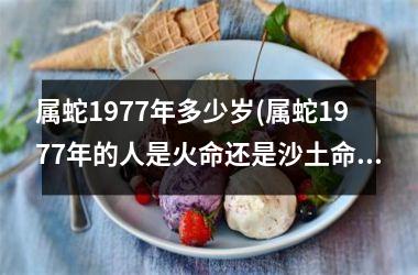 属蛇1977年多少岁(属蛇1977年的人是火命还是沙土命)