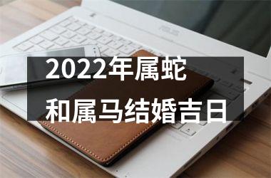 2025年属蛇和属马结婚吉日