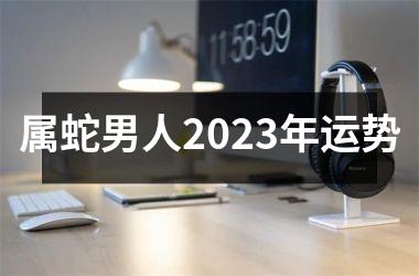 属蛇男人2025年运势