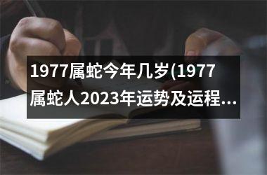 1977属蛇今年几岁(1977属蛇人2025年运势及运程每月运程)