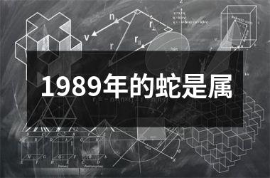 1989年的蛇是属