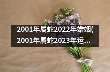 2001年属蛇2025年婚姻(2001年属蛇2025年运势及运程每月运程)