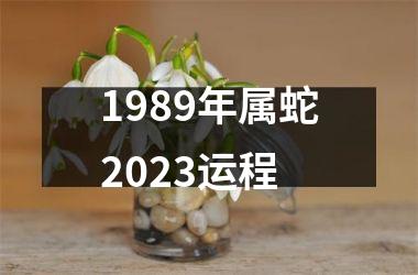 1989年属蛇2025运程