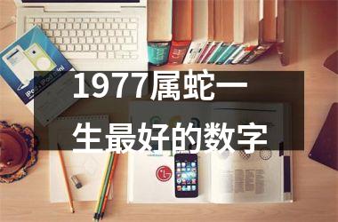 1977属蛇一生最好的数字