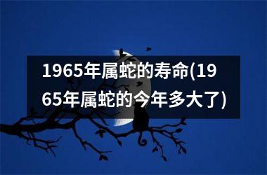 1965年属蛇的寿命(1965年属蛇的今年多大了)