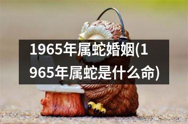 1965年属蛇婚姻(1965年属蛇是什么命)