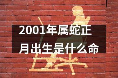 2001年属蛇正月出生是什么命