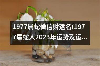 1977属蛇微信财运名(1977属蛇人2025年运势及运程每月运程)