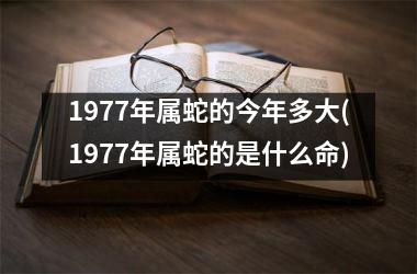 <h3>1977年属蛇的今年多大(1977年属蛇的是什么命)