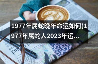 1977年属蛇晚年命运如何(1977年属蛇人2025年运势运程每月运程)