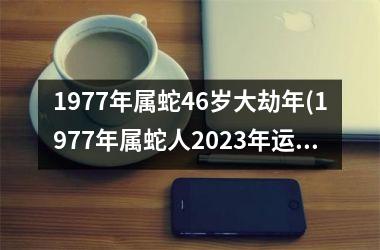 1977年属蛇46岁大劫年(1977年属蛇人2025年运势运程每月运程)