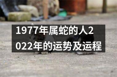 1977年属蛇的人2025年的运势及运程