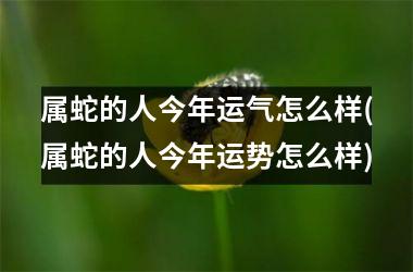 属蛇的人今年运气怎么样(属蛇的人今年运势怎么样)